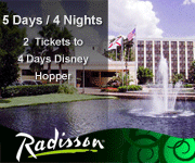 Disney World Hopper Vacation Packages